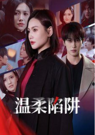 温柔陷阱(全集)