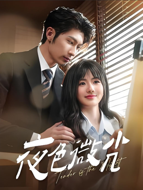 夜色微光(全集)