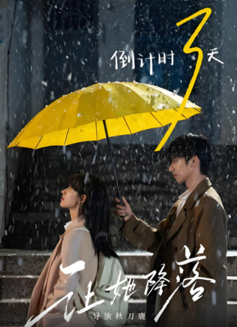 让她降落(全集)