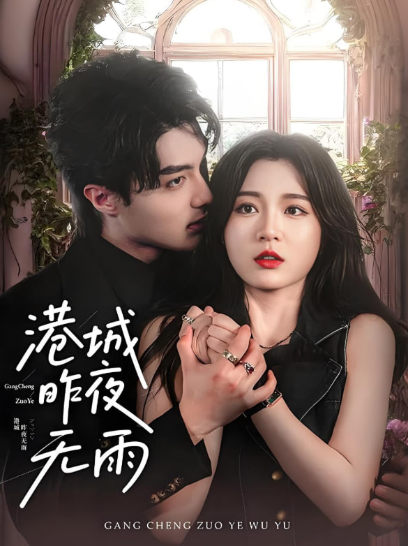 港城昨夜无雨(全集)