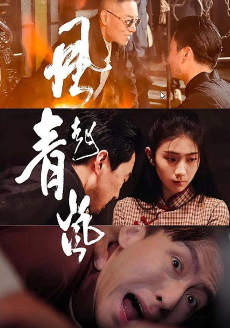 风起青岚(全集)