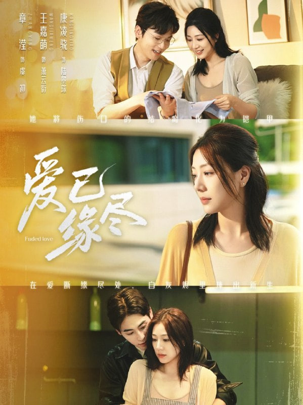 爱已缘尽(全集)