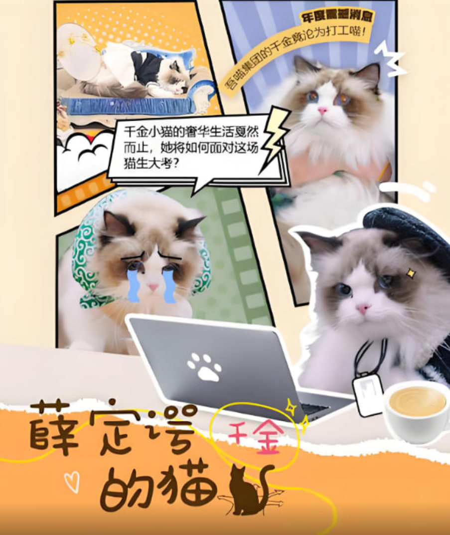 薛定谔的猫(全集)
