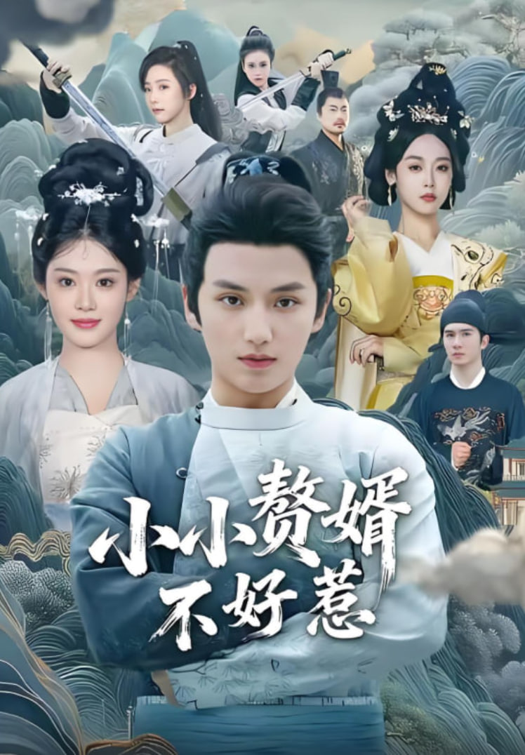 小小赘婿不好惹(全集)