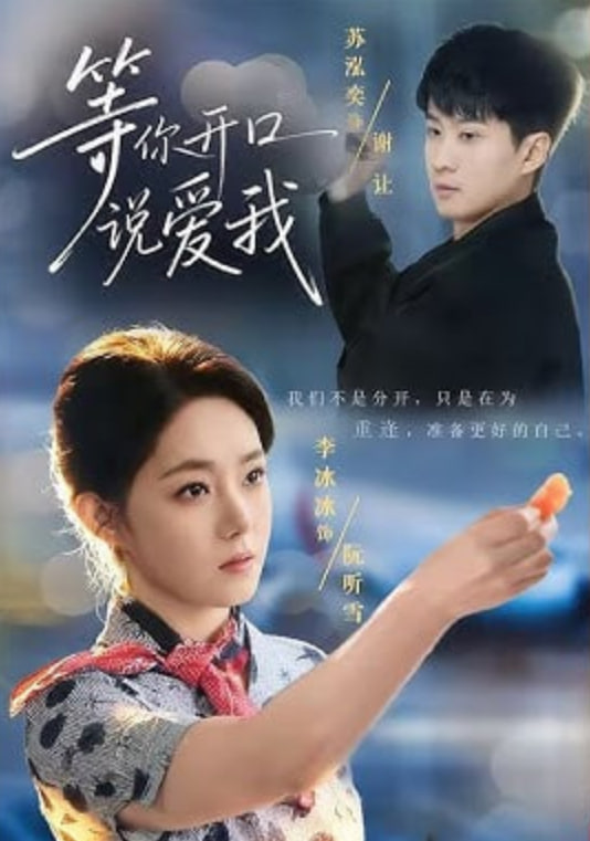 等你开口说爱我(全集)