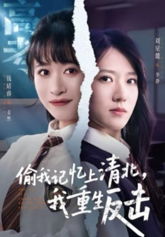 偷我记忆上清北，我重生反击(全集)