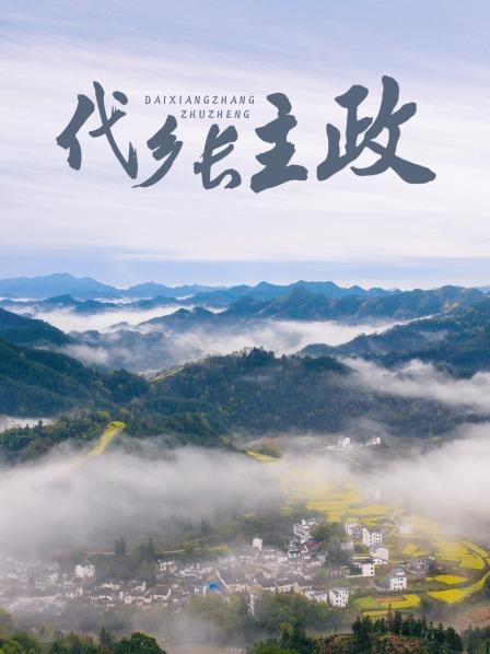 代乡长主政HD中字