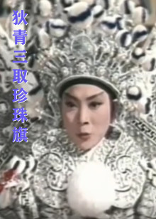 狄青三取珍珠旗HD中字