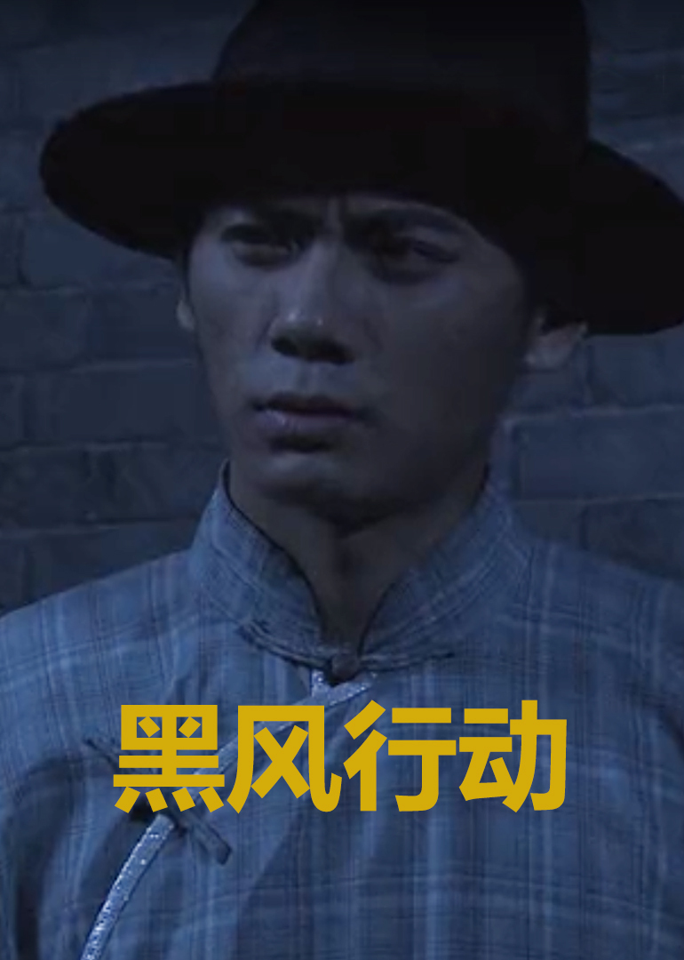 黑风行动HD中字