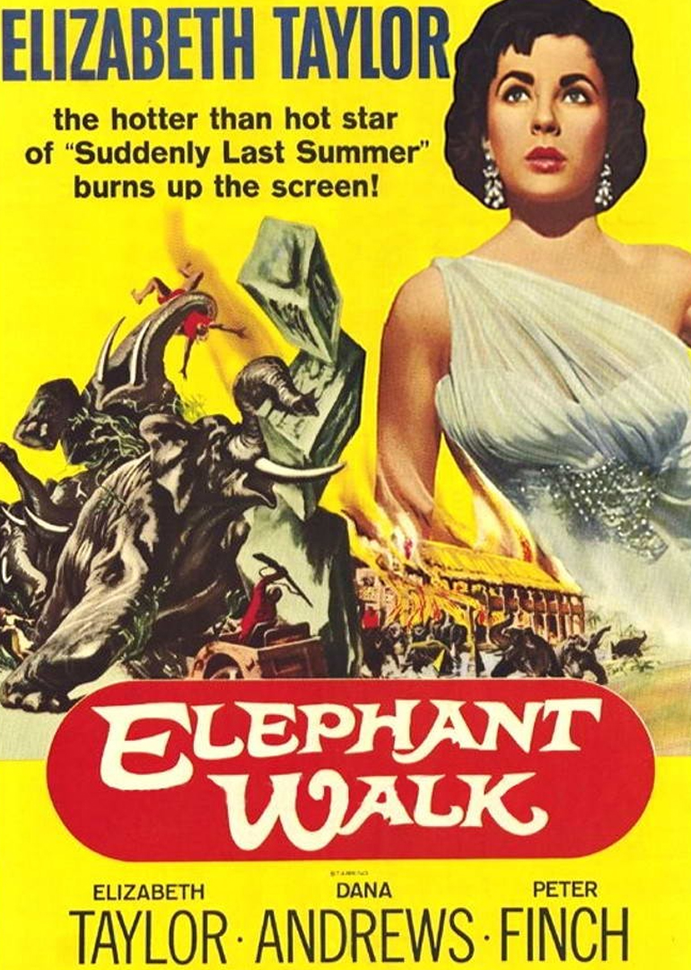 逻宫大神秘HD中字