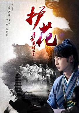 寻侠英雄传之护花HD