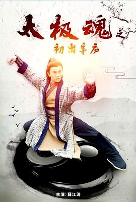 太极魂之初出茅庐HD