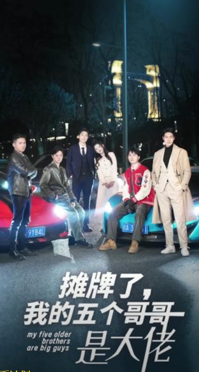 摊牌了我的五个哥哥是大佬全集(大结局)