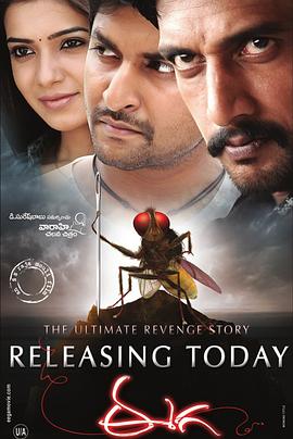 功夫小蝇国语HD