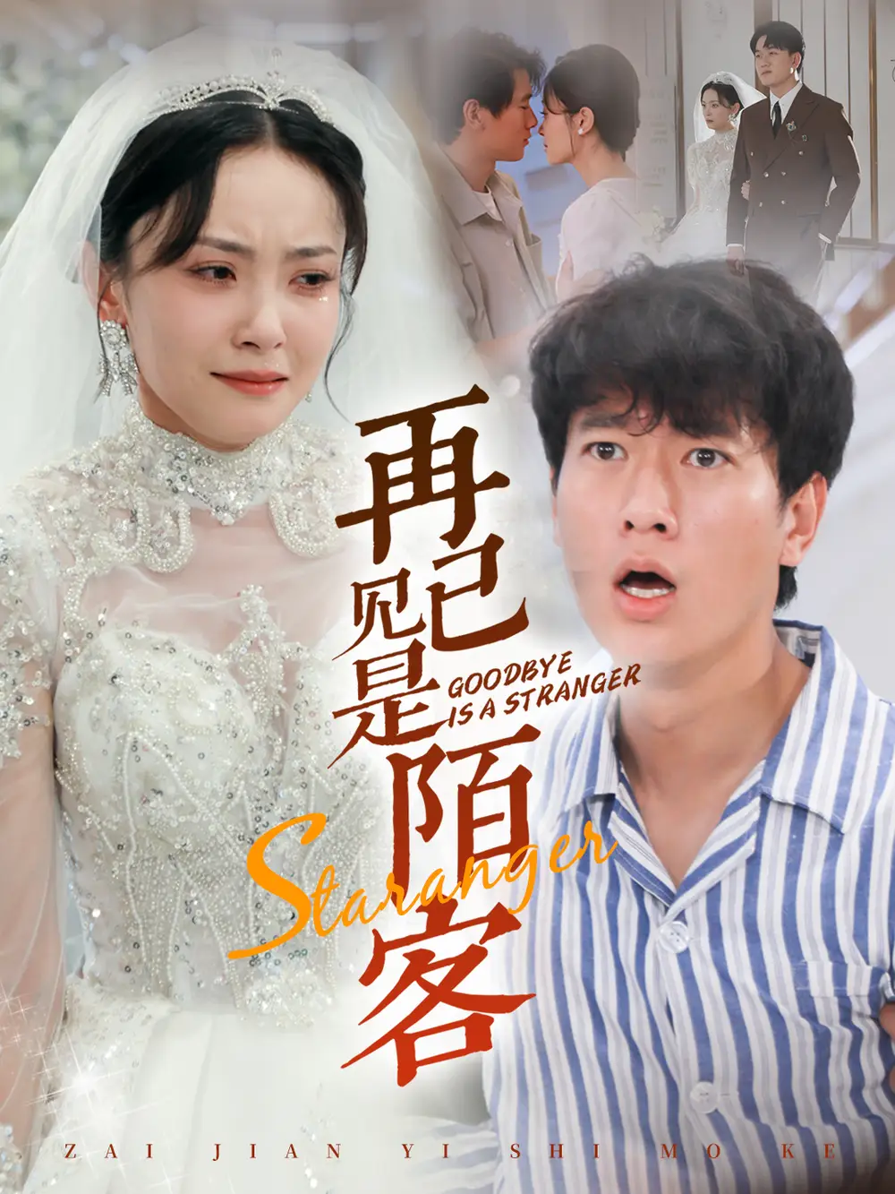 再见已是陌客全集(大结局)